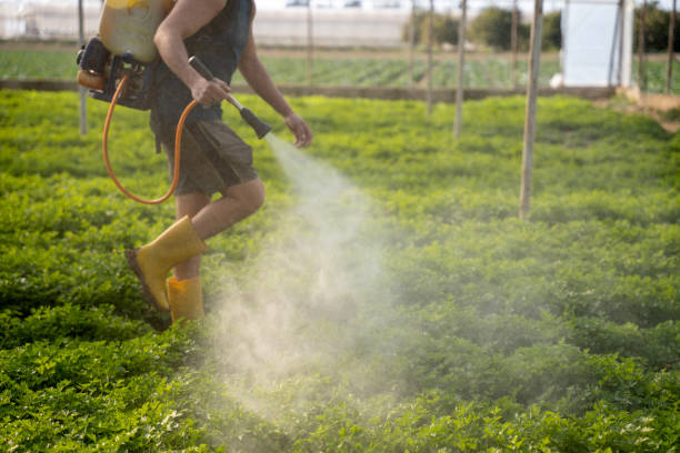 Pest Control Cost in Forest City, NC