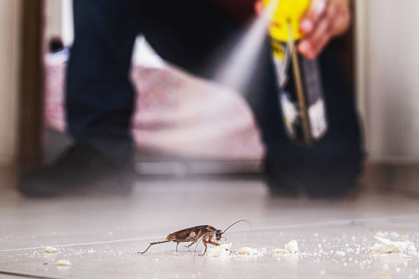 Professional Pest Control in Forest City, NC