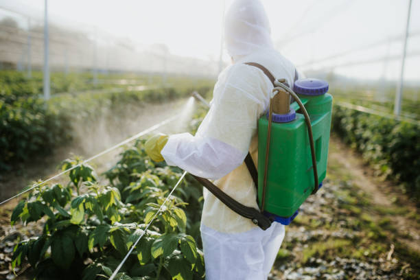 Best Pest Control Near Me  in Forest City, NC